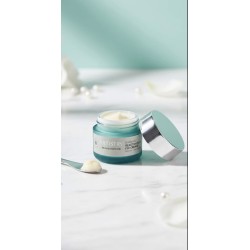 Crema Regeneradora Artistry Skin Nutrition™